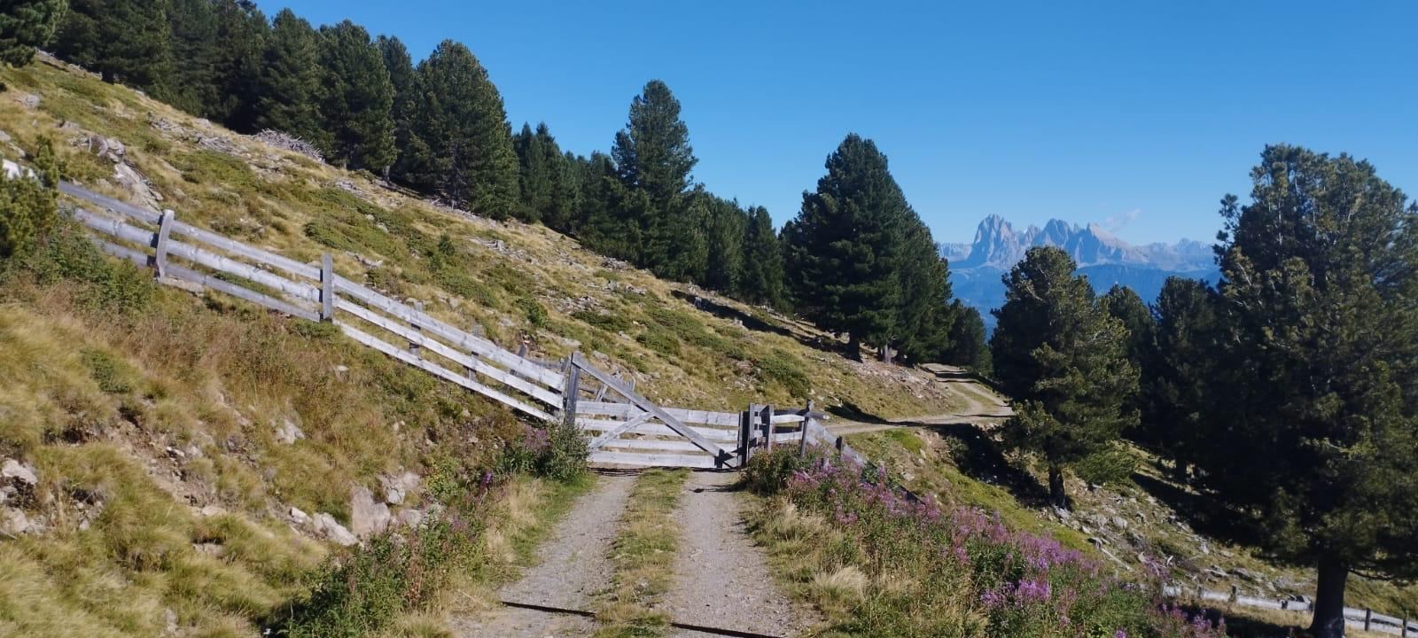 Wanderweg mit Holzzaun in den Tiroler Bergen