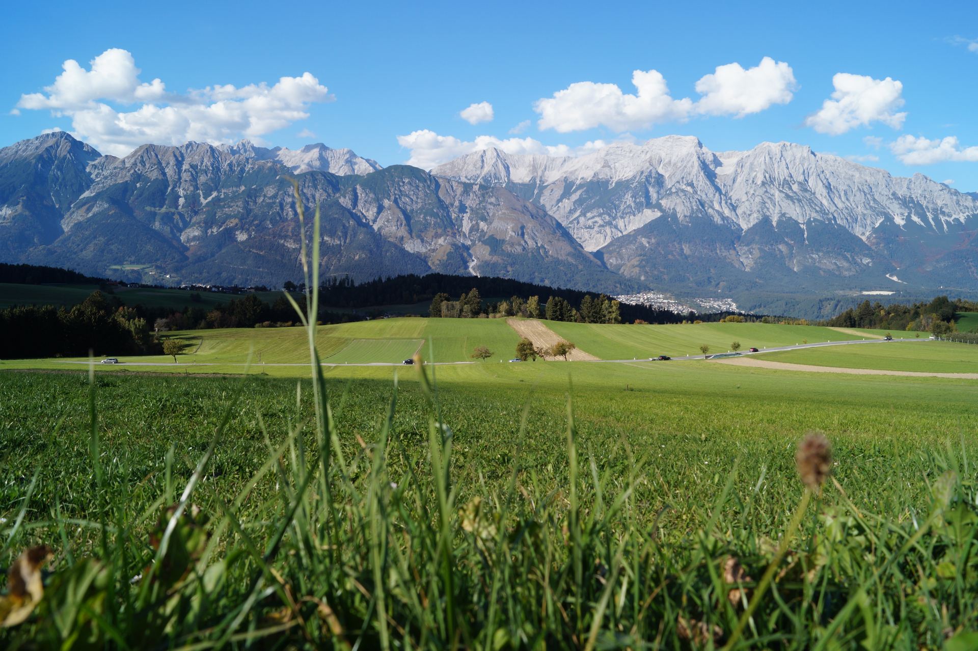 Almwiese vor dem Karwendelgebirge
